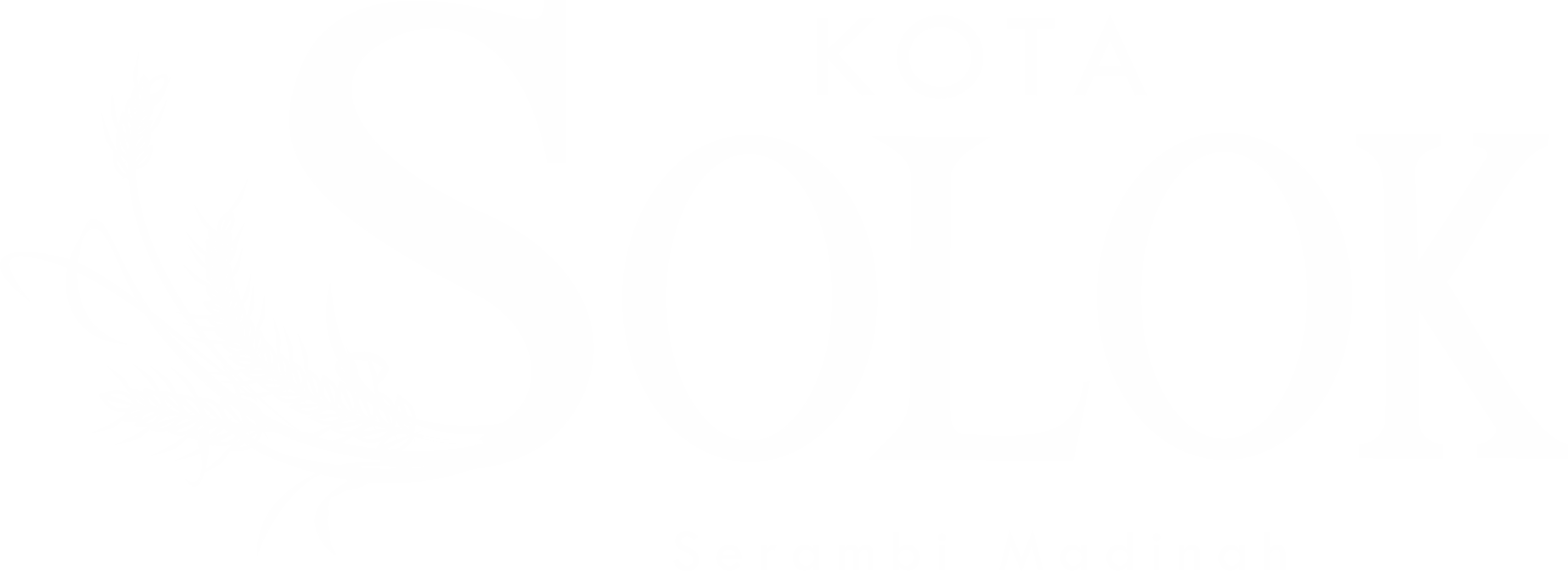 Kota Solok